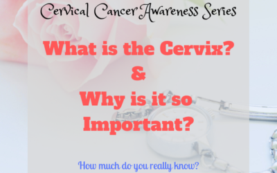 What is the Cervix & Why is it so Important?